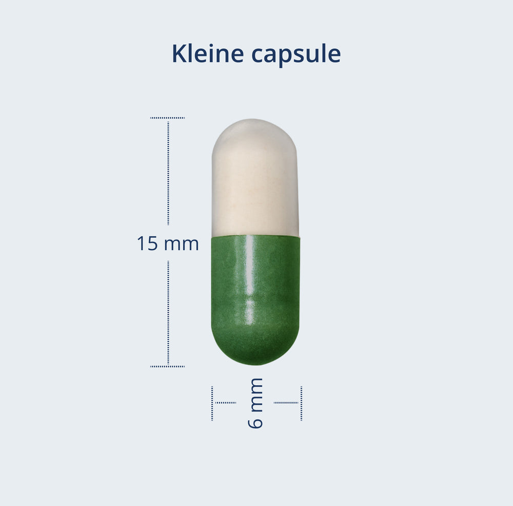 Een foto van: Een kleine capsule van 15 mm x 6 mm