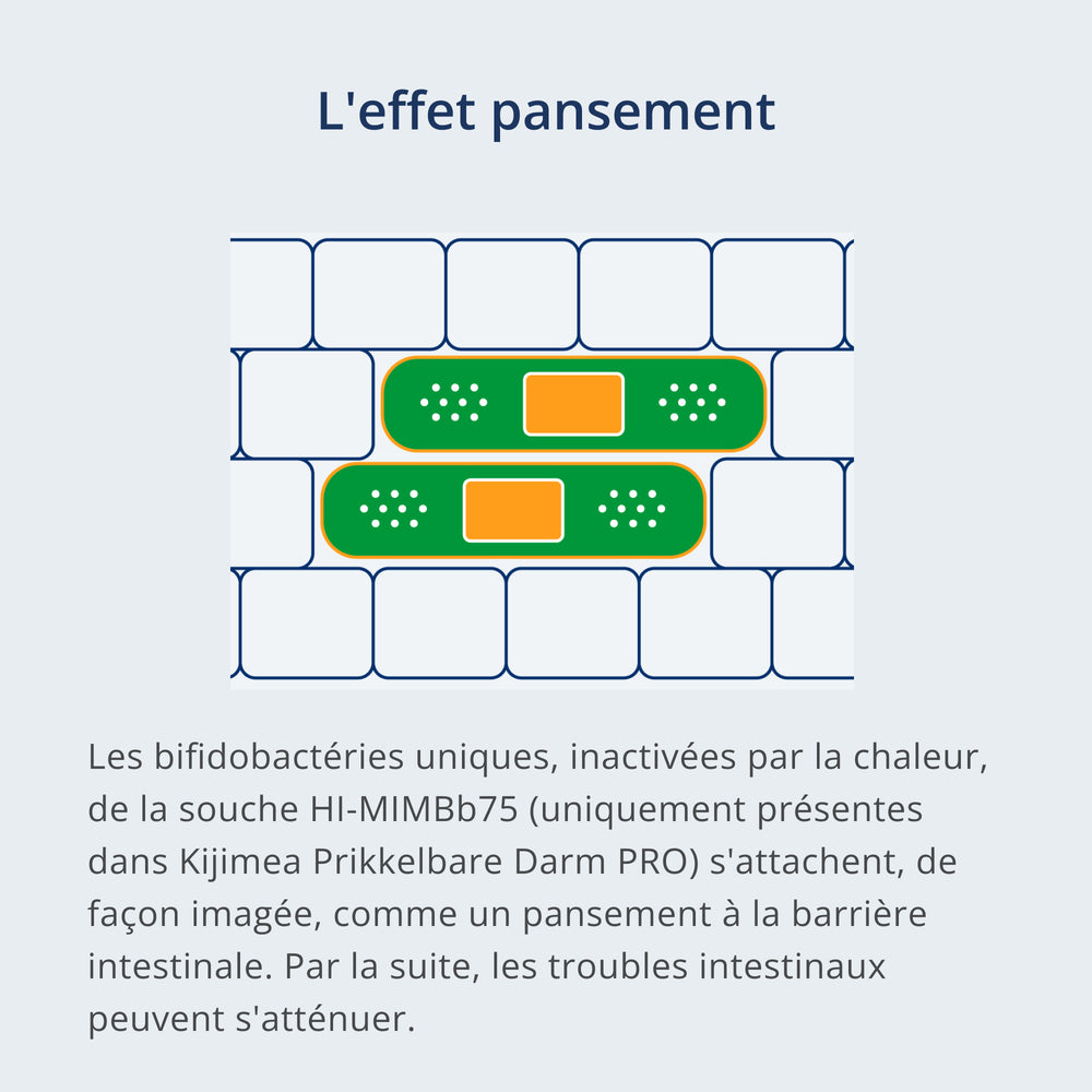 Une photo: Schéma enfantin d’un pansement adhérant à la barrière intestinale