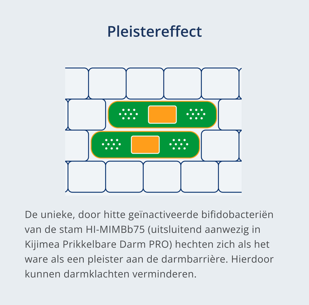 Een foto van: Karakteristieke tekening van een pleister die aan de darmwand kleeft