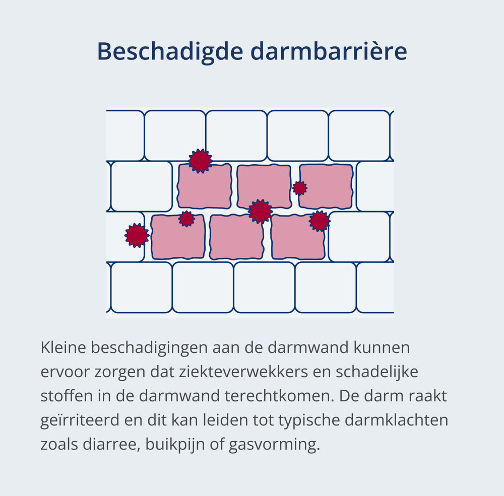 Een foto van: Karakteristieke tekening van een beschadigde darmwand
