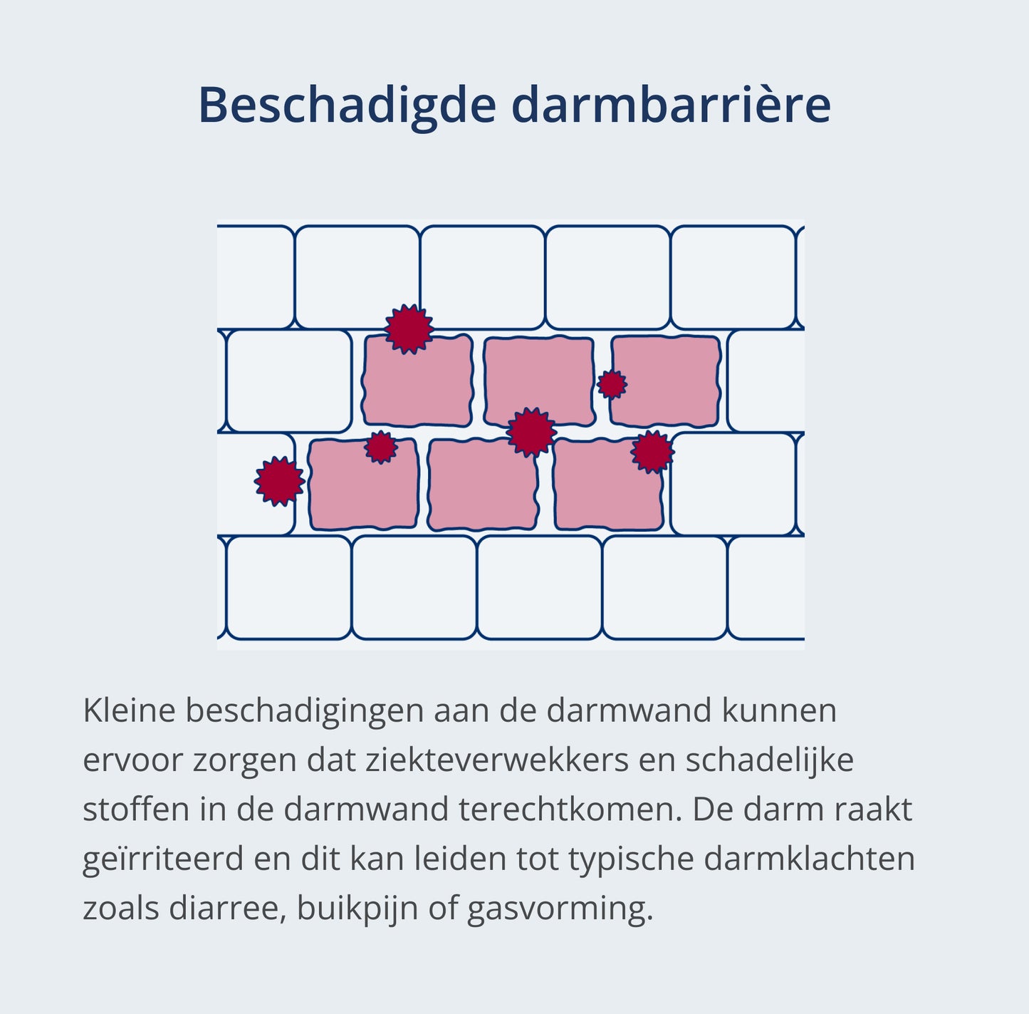 Een foto van: Karakteristieke tekening van een beschadigde darmwand