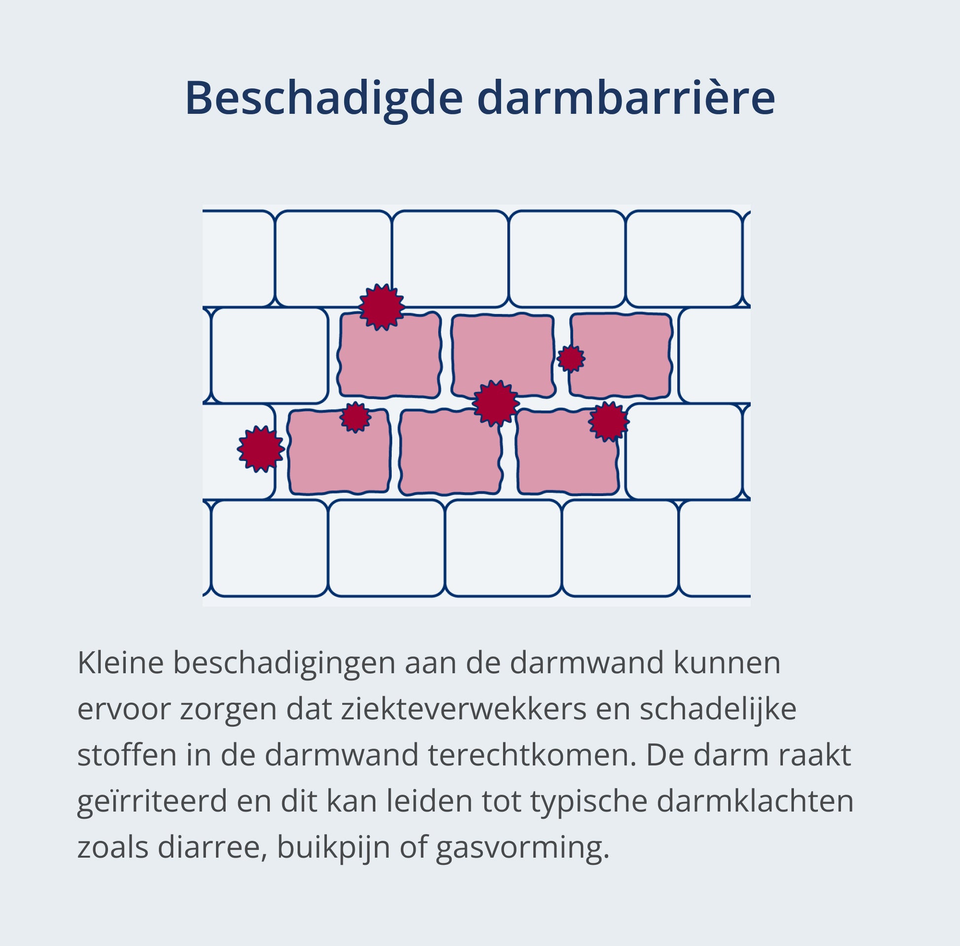 Een foto van: Karakteristieke tekening van een beschadigde darmwand