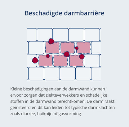 Een foto van: Karakteristieke tekening van een beschadigde darmwand