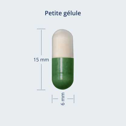 Une photo: Une petite gélule de 15 mm par 6 mm